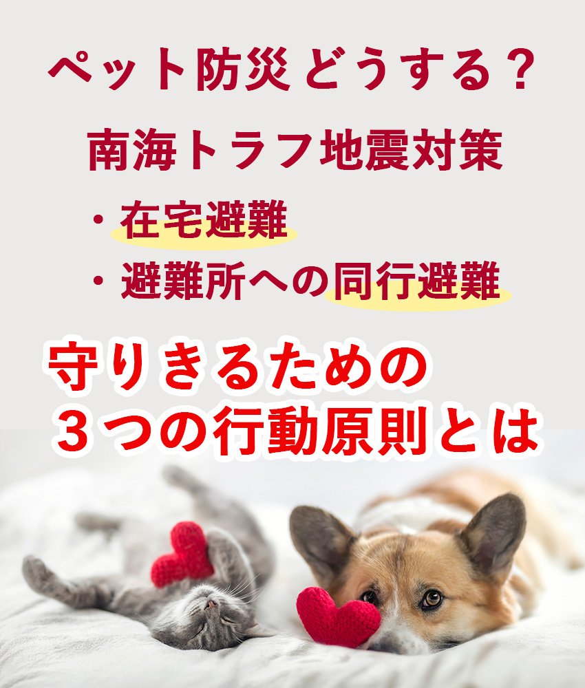 ペット防災 どうする？南海トラフ地震対策 ・在宅避難 ・避難所への同行避難 ワンコ・ニャンコを守り切るための３つの行動原則とは